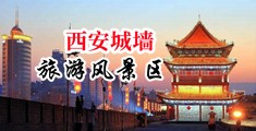 大鸡巴插小逼软件中国陕西-西安城墙旅游风景区